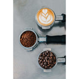 Kirkland Signature Roasted by Starbucks Espresso Blend, 907 g (2 lb), 2-pack