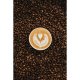 William Spartivento Corposo Dark Roast Fair Trade and Organic Whole Bean Coffee, 908 g (2 lb.), 2-pack